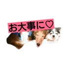 finally（個別スタンプ：22）