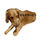 Noel1496Noel1496（個別スタンプ：12）