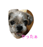 chi-b（個別スタンプ：7）
