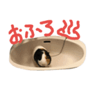 mol.motto（個別スタンプ：13）