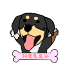 Mix dog kanji（個別スタンプ：1）