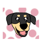 Mix dog kanji（個別スタンプ：2）