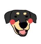 Mix dog kanji（個別スタンプ：3）