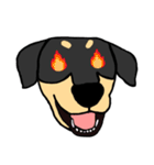 Mix dog kanji（個別スタンプ：4）
