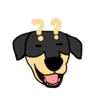 Mix dog kanji（個別スタンプ：6）