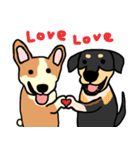 Mix dog kanji（個別スタンプ：10）