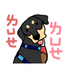 Mix dog kanji（個別スタンプ：11）
