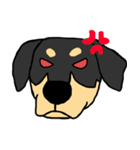 Mix dog kanji（個別スタンプ：12）