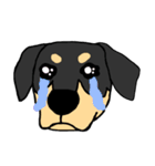 Mix dog kanji（個別スタンプ：13）