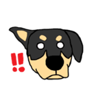Mix dog kanji（個別スタンプ：14）