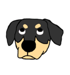 Mix dog kanji（個別スタンプ：16）