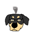 Mix dog kanji（個別スタンプ：17）