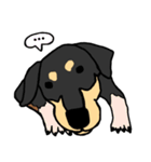 Mix dog kanji（個別スタンプ：18）