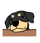 Mix dog kanji（個別スタンプ：19）