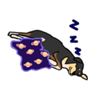Mix dog kanji（個別スタンプ：20）