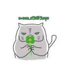 a lot of fat cats（個別スタンプ：8）