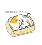 a lot of fat cats（個別スタンプ：13）