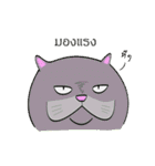 a lot of fat cats（個別スタンプ：18）