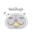 a lot of fat cats（個別スタンプ：23）