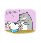 a lot of fat cats（個別スタンプ：25）