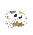a lot of fat cats（個別スタンプ：34）