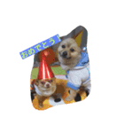 Itodogs（個別スタンプ：2）