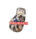 Itodogs（個別スタンプ：7）