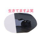 ロコ、ブル、トラ6（個別スタンプ：6）