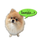 N'MeDee（個別スタンプ：1）