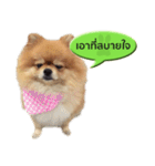 N'MeDee（個別スタンプ：3）