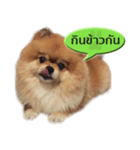 N'MeDee（個別スタンプ：7）