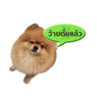 N'MeDee（個別スタンプ：21）