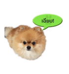 N'MeDee（個別スタンプ：22）