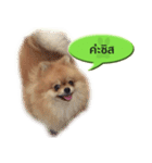 N'MeDee（個別スタンプ：23）