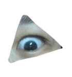 an eye.....can tell you something（個別スタンプ：11）