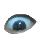 an eye.....can tell you something（個別スタンプ：12）