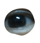an eye.....can tell you something（個別スタンプ：13）