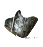 動物(^^)（個別スタンプ：5）