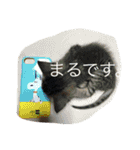 チョコ氏（個別スタンプ：8）