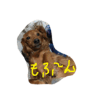チョコ氏（個別スタンプ：9）