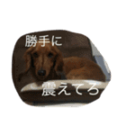 チョコ氏（個別スタンプ：10）
