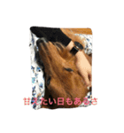 チョコ氏（個別スタンプ：14）