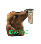 チョコ氏（個別スタンプ：18）