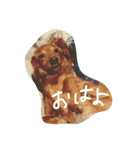 チョコ氏（個別スタンプ：19）