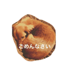 チョコ氏（個別スタンプ：22）