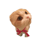NEKOBAKA NEKOBAKA（個別スタンプ：3）