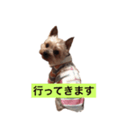 me＆daisy part2（個別スタンプ：15）