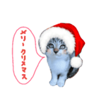 Xmas cat（個別スタンプ：1）