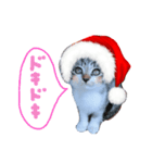 Xmas cat（個別スタンプ：4）