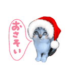 Xmas cat（個別スタンプ：5）